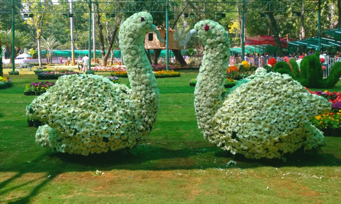When Pondicherry is in full bloom