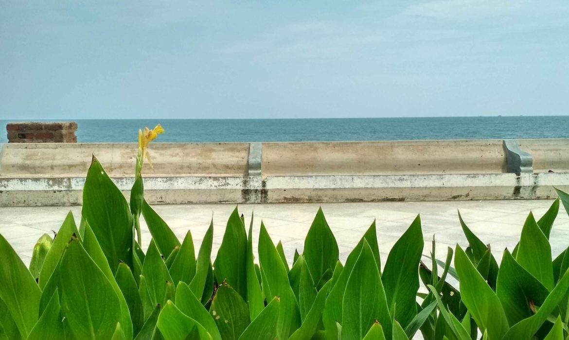 Simple Pleasures of a Pondicherry Summer: starry nights, sea breeze and surf