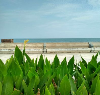 a view of the promenade along the Bay of Bengal, blue sea and blue sky in Pondicherry