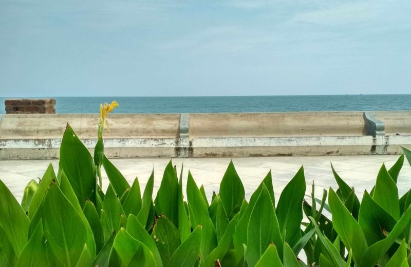 Simple Pleasures of a Pondicherry Summer: starry nights, sea breeze and surf