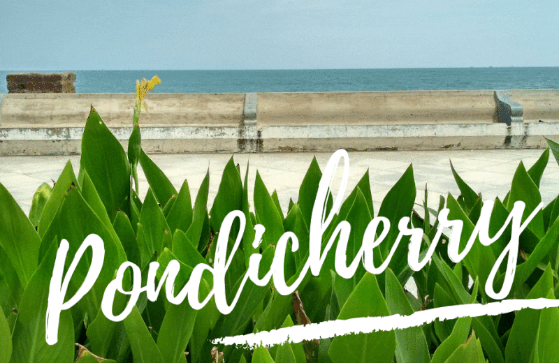 Things to do this weekend in Pondicherry other than Avengers Endgame