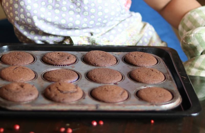 CHOCOLATE CUPCAKES FOR THE GRATITUDE CAKE PROJECT IN AUROVILLE AND PONDY FOR PONDICHERRY'S COVID-19 WARRIORS