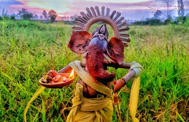 eco-friendly ganesha in pondicherry