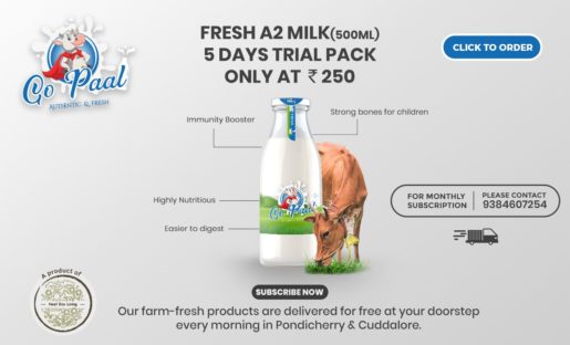 a2 milk gopaal by neel eco living home delivery in Pondicherry