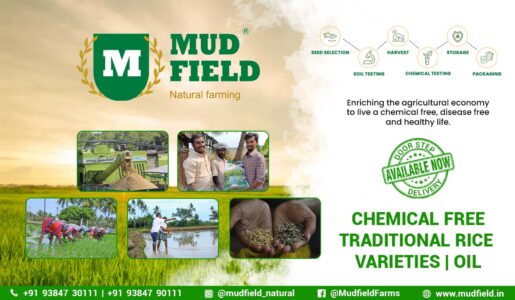 mudfield natural farming pondicherry traditional rice varieties and oils