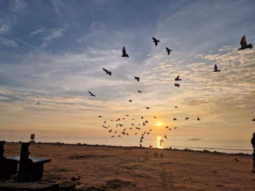 pondicherry beach has many charms and is one of the top things to do in September in pondicherry
