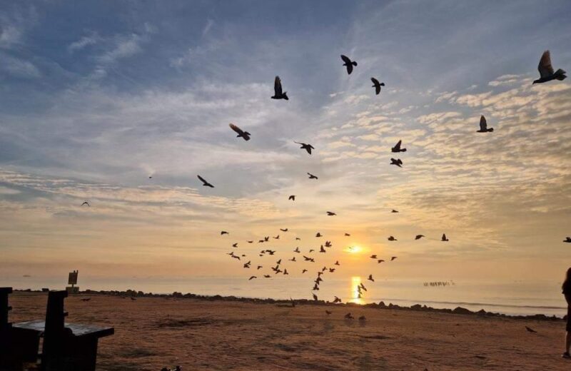 pondicherry beach has many charms and is one of the top things to do in September in pondicherry