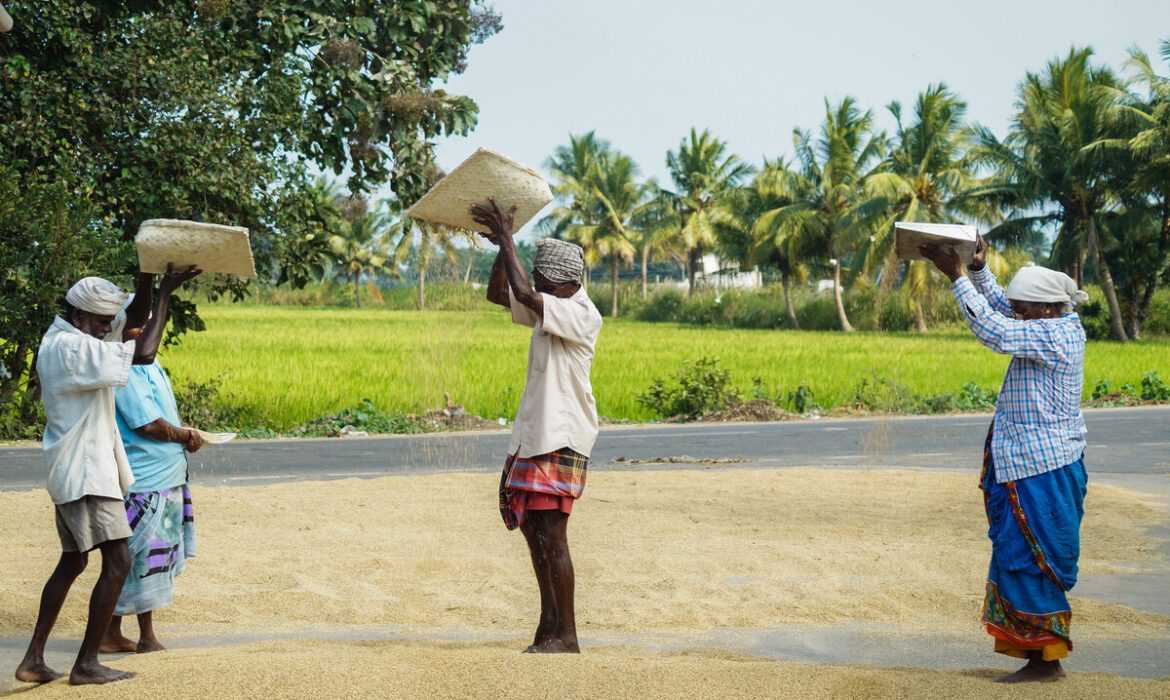 Things to do this big Pongal weekend in Pondicherry