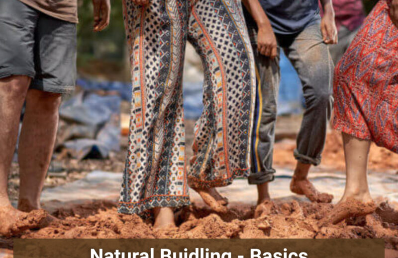 Natural Building Basics Sustainable Architecture Workshop
