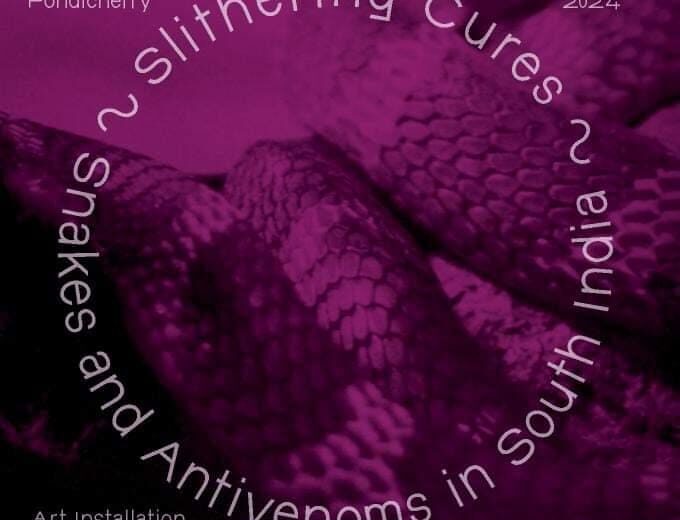 Slithering Cures Snakes and Antivenoms in South India Art Installation
